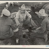 Mexican labor contractor in center with two carrot workers eating "second breakfast" near Santa Maria, Texas