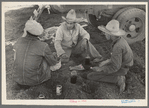 Mexican labor contractor in center with two carrot workers eating "second breakfast" near Santa Maria, Texas