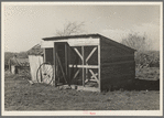 Chicken coop on farm of small vegetable farmer near Santa Maria, Texas