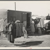 Trailer home and truck of white migrant family, Weslaco, Texas