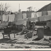 Clothesline in back of house in poorer section of Weslaco, Texas