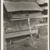 Hen nests at sharecropper's cabin near Pace, Mississippi. Background photo for Sunflower Plantation