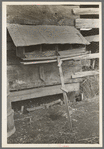 Hen nests at sharecropper's cabin near Pace, Mississippi. Background photo for Sunflower Plantation