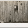 Side of sharecropper's cabin near Pace, Mississippi. Background photo for Sunflower Plantation
