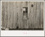 Side of sharecropper's cabin near Pace, Mississippi. Background photo for Sunflower Plantation