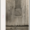 Side of sharecropper's cabin near Pace, Mississippi. Background photo for Sunflower Plantation