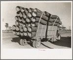 Truckload of baskets for citrus fruit, Pharr, Texas
