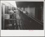 Loading platform of vegetable packinghouse at Elsa, Texas