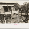 Hog house and chicken coop of Hidalgo County, Texas, farm