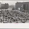 Pile of cabbages with Mexican graders in background, Alamo, Texas