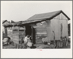 Residence of Mexican day laborer, Weslaco, Texas