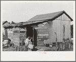 Residence of Mexican day laborer, Weslaco, Texas