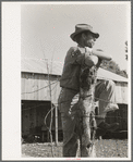 Farmer leaning on fence near Weslaco, Texas. FSA (Farm Security Administration) client