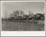 Housing across the railroad tracks, Greenville, Mississippi