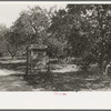 Entrance to trailer park amid the orange groves, McAllen, Texas