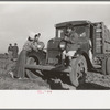 Waiting for work to begin in carrot fields near Santa Maria, Texas