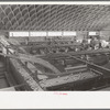 Citrus packing plant in Weslaco, Texas