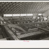 Citrus packing plant in Weslaco, Texas