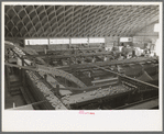 Citrus packing plant in Weslaco, Texas