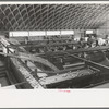 Citrus packing plant in Weslaco, Texas