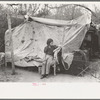 Tent home of migrants near Harlingen, Texas