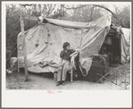 Tent home of migrants near Harlingen, Texas