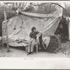 Tent home of migrants near Harlingen, Texas