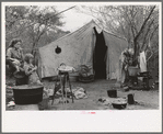 Tent home of white migrant from Arizona, near Harlingen, Texas