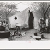 Tent home of white migrant from Arizona, near Harlingen, Texas