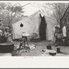 Tent home of white migrant from Arizona, near Harlingen, Texas