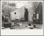 Tent home of white migrant from Arizona, near Harlingen, Texas