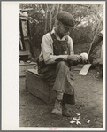 White migrant worker sawing wood for stakes to be used in setting up tent home, near Harlingen, Texas