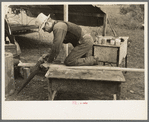 White migrant worker sawing wood for stakes to be used in setting up tent home, near Harlingen, Texas