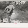 White migrant carrying mattress across fence near Harlingen, Texas