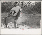 White migrant carrying mattress across fence near Harlingen, Texas