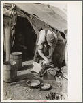 White migrant worker cleaning fish near Mercedes, Texas