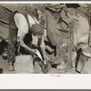 White migrant worker cleaning fish near Mercedes, Texas