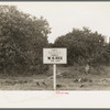 Sign in front of citrus grove, San Juan, Texas. There is a great deal of absentee ownership in the Rio Grande Valley