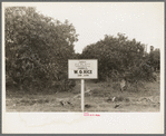 Sign in front of citrus grove, San Juan, Texas. There is a great deal of absentee ownership in the Rio Grande Valley