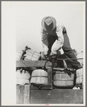 Tying a rope around spinach baskets to keep them from falling off truck, La Pryor, Texas