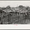 Home of Mexican squatters in San Antonio, Texas. They were receiving commodities from relief