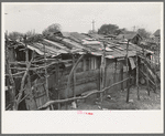 Home of Mexican squatters in San Antonio, Texas. They were receiving commodities from relief