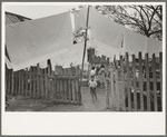 Back yard in Mexican district with laundry on line, San Antonio, Texas