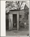 Privy and water supply, Mexican district, San Antonio, Texas