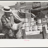 Honey peddler reading newspaper in market, San Antonio, Texas