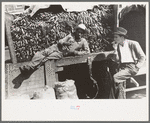 Carrot peddler, market, San Antonio, Texas