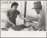 Preparing plates of tortillas and fried beans to sell to pecan shellers, San Antonio, Texas