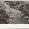 Part of stream in which Mexican boys swim, San Antonio, Texas