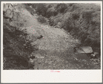 Part of stream in which Mexican boys swim, San Antonio, Texas