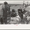 Icing spinach before packing in refrigerator cars, La Pryor, Texas